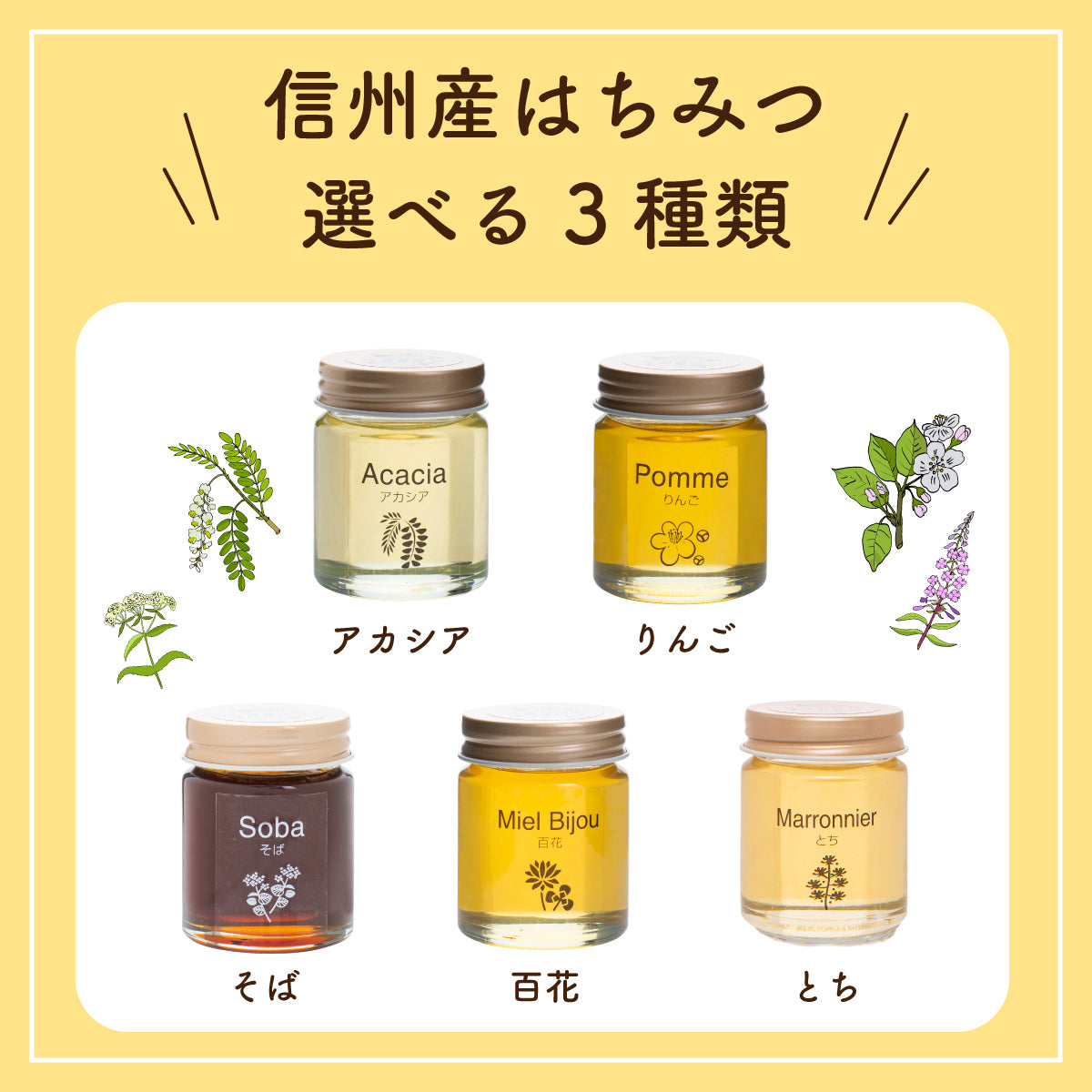 信州産はちみつ1セット目 信州産はちみつお試しセット 50g×5個｜はちみつ専門の通販サイト