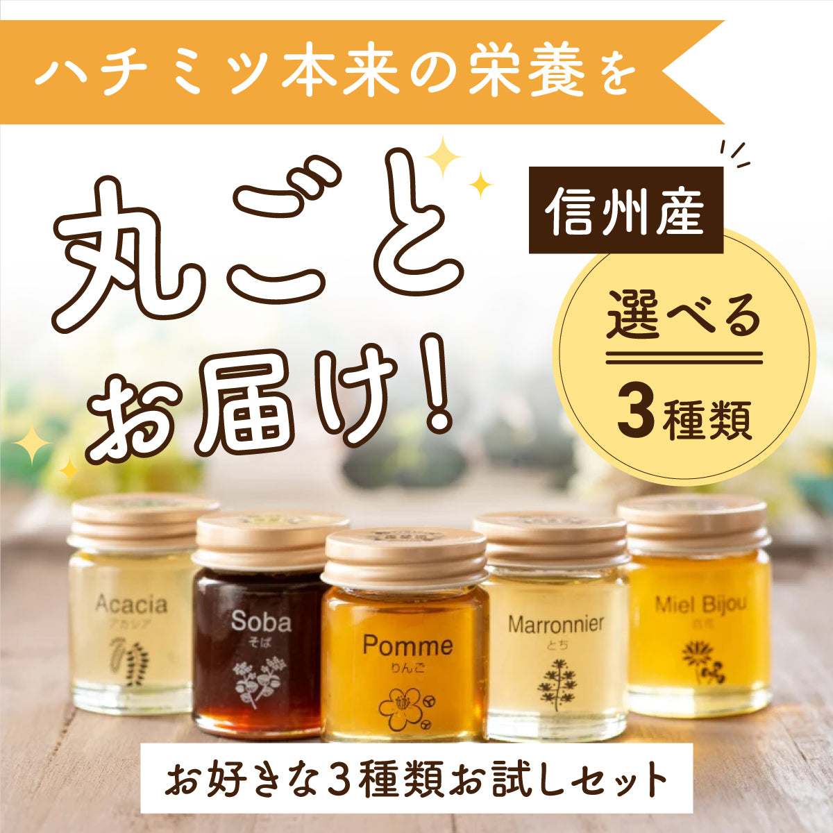 3つ選べる信州産はちみつお試しセット50g×3個｜はちみつ専門の通販