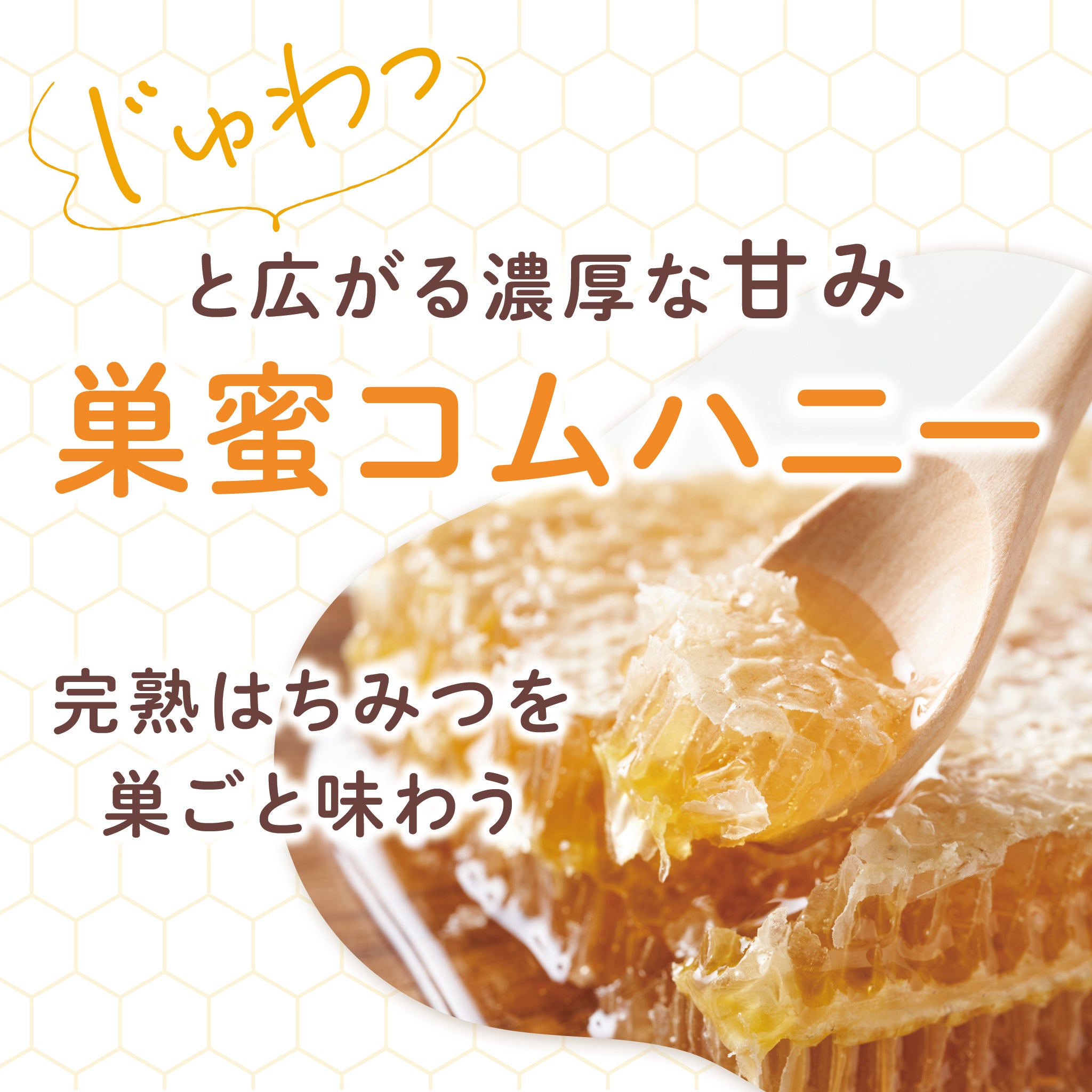 巣蜜（コムハニー）ハンガリー産400g｜はちみつ専門の通販サイト