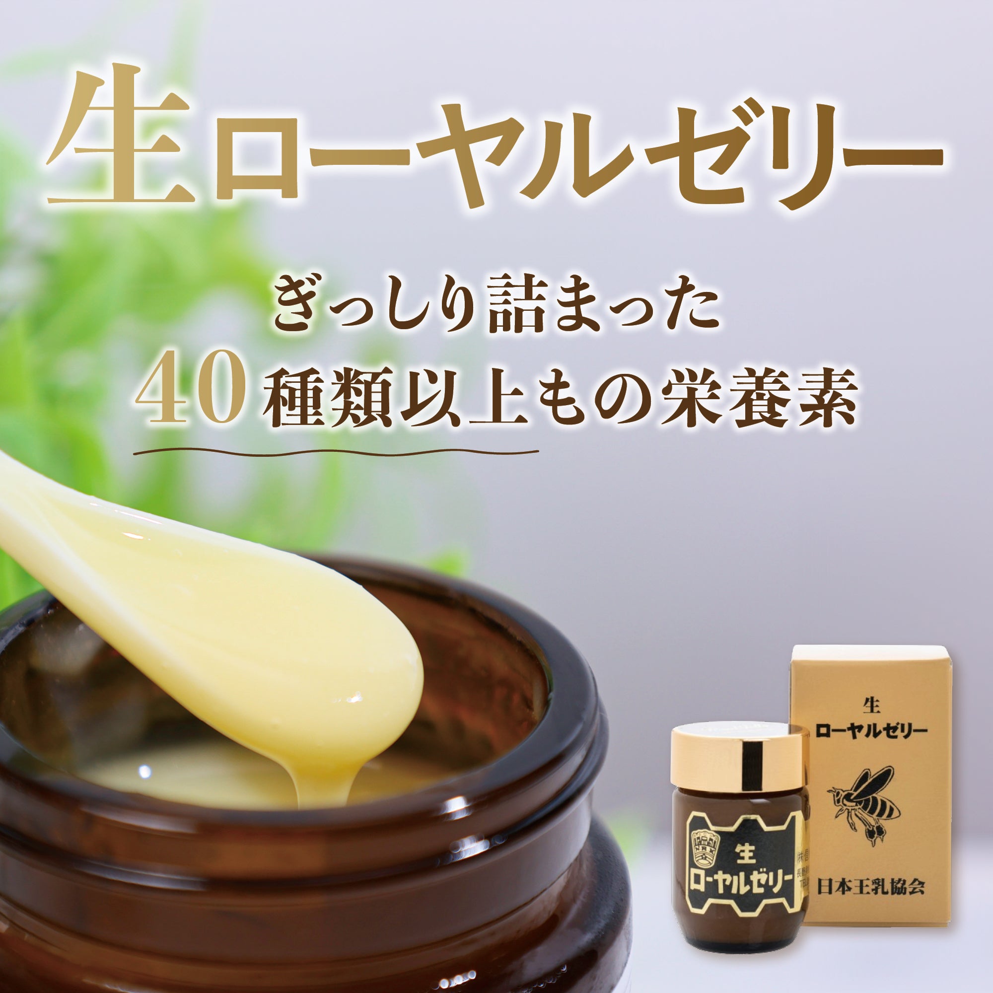 生ローヤルゼリー【国産】100g｜はちみつ専門の通販サイト｜信州蜂蜜本舗